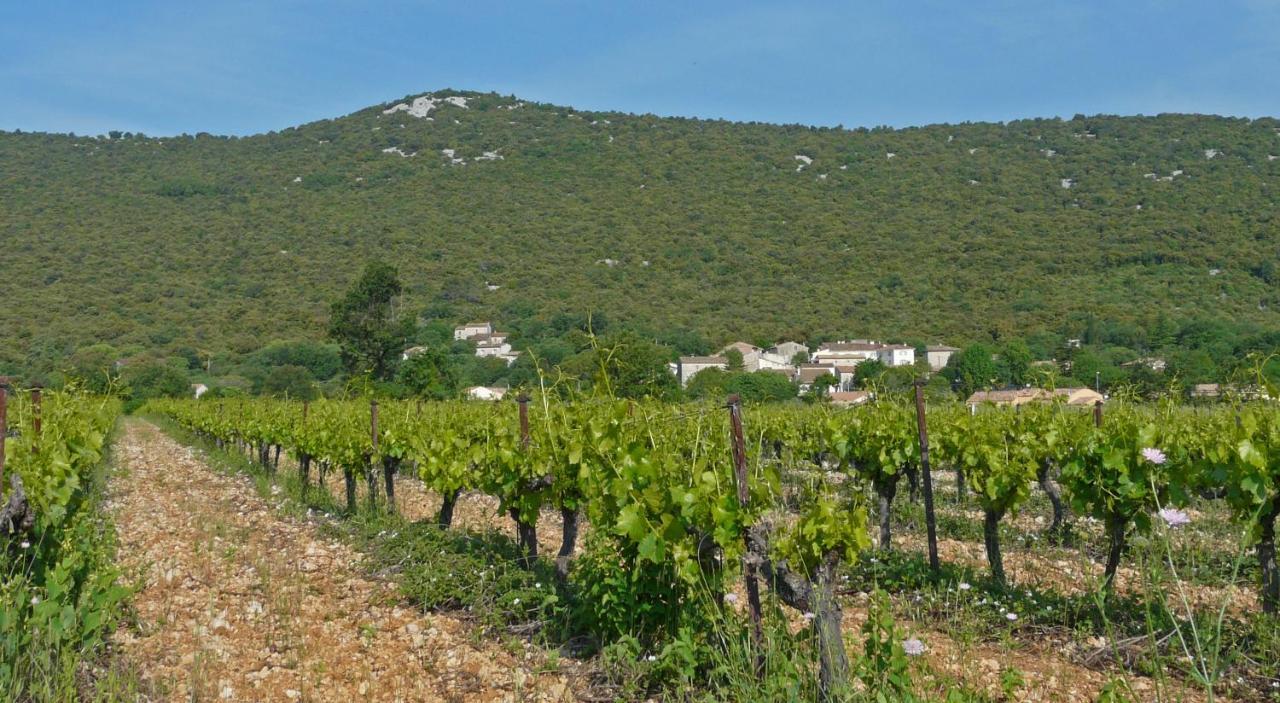 Bed and Breakfast Demeure Cevenole Les Rameaux Brissac Esterno foto