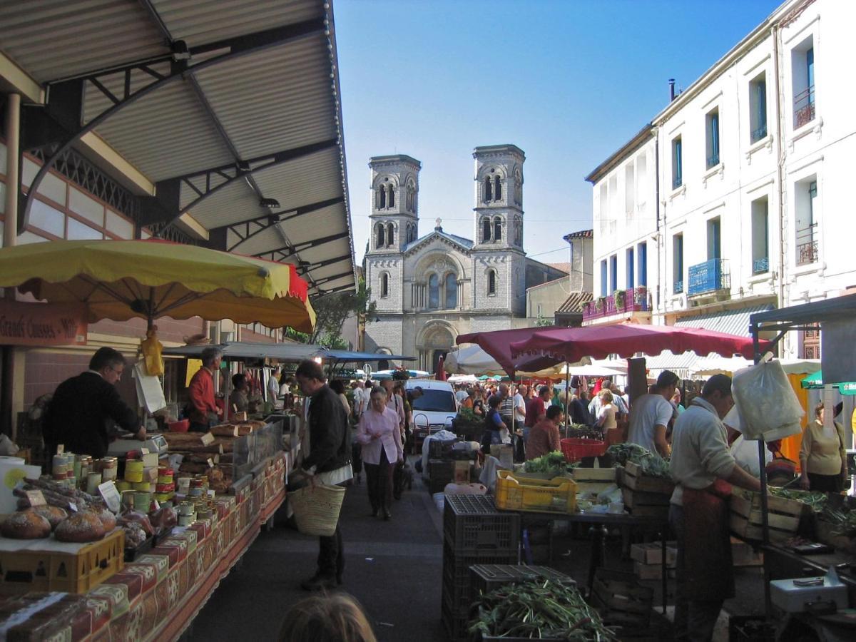 Bed and Breakfast Demeure Cevenole Les Rameaux Brissac Esterno foto